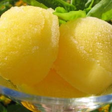 Fresh Lemon Sorbet